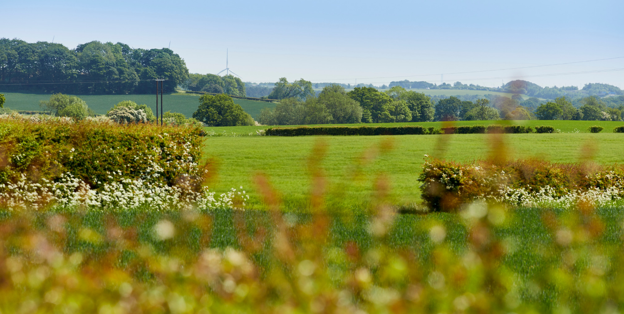 Leeds Countryside Views - Chartford Homes