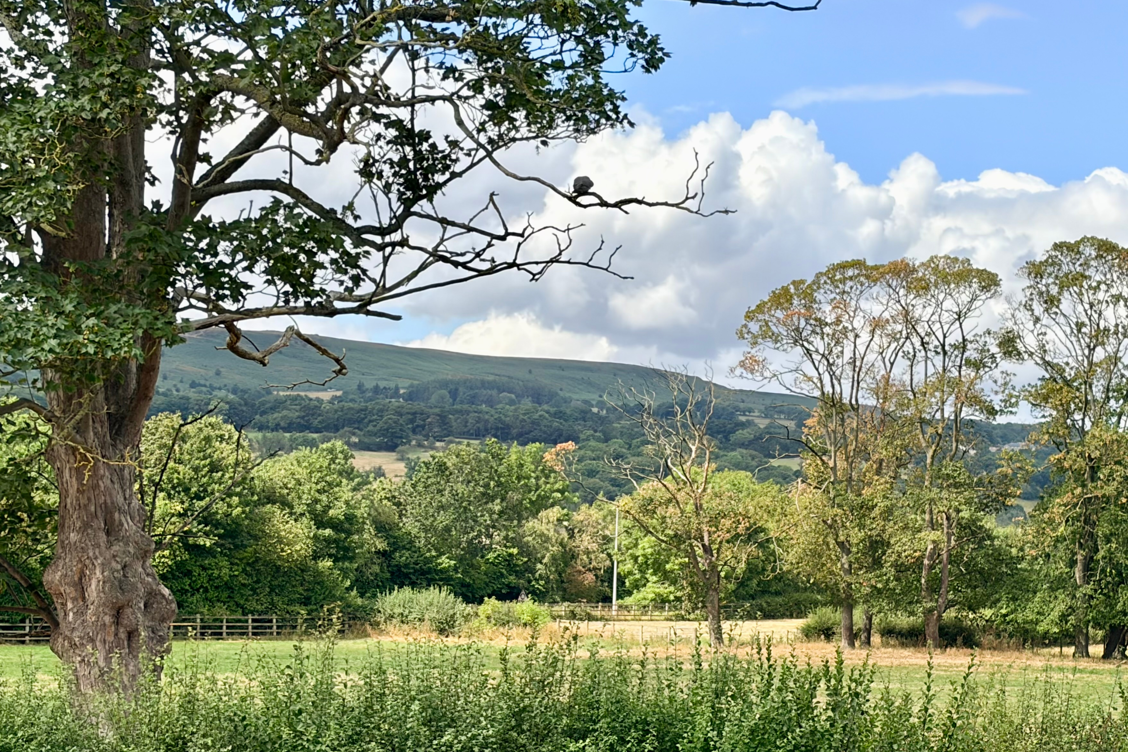 GHM The Askwith Plot 12 Scenery