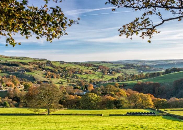 Ainley Top Listing Image