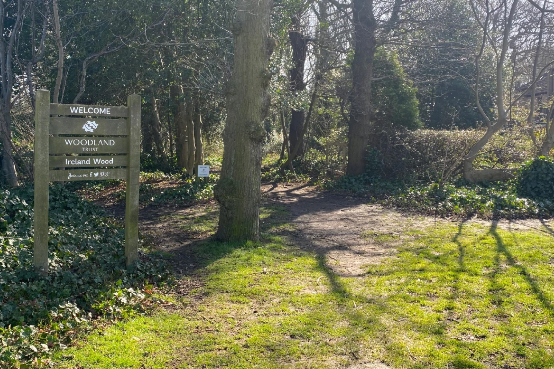 Gallery Cookridge (3)