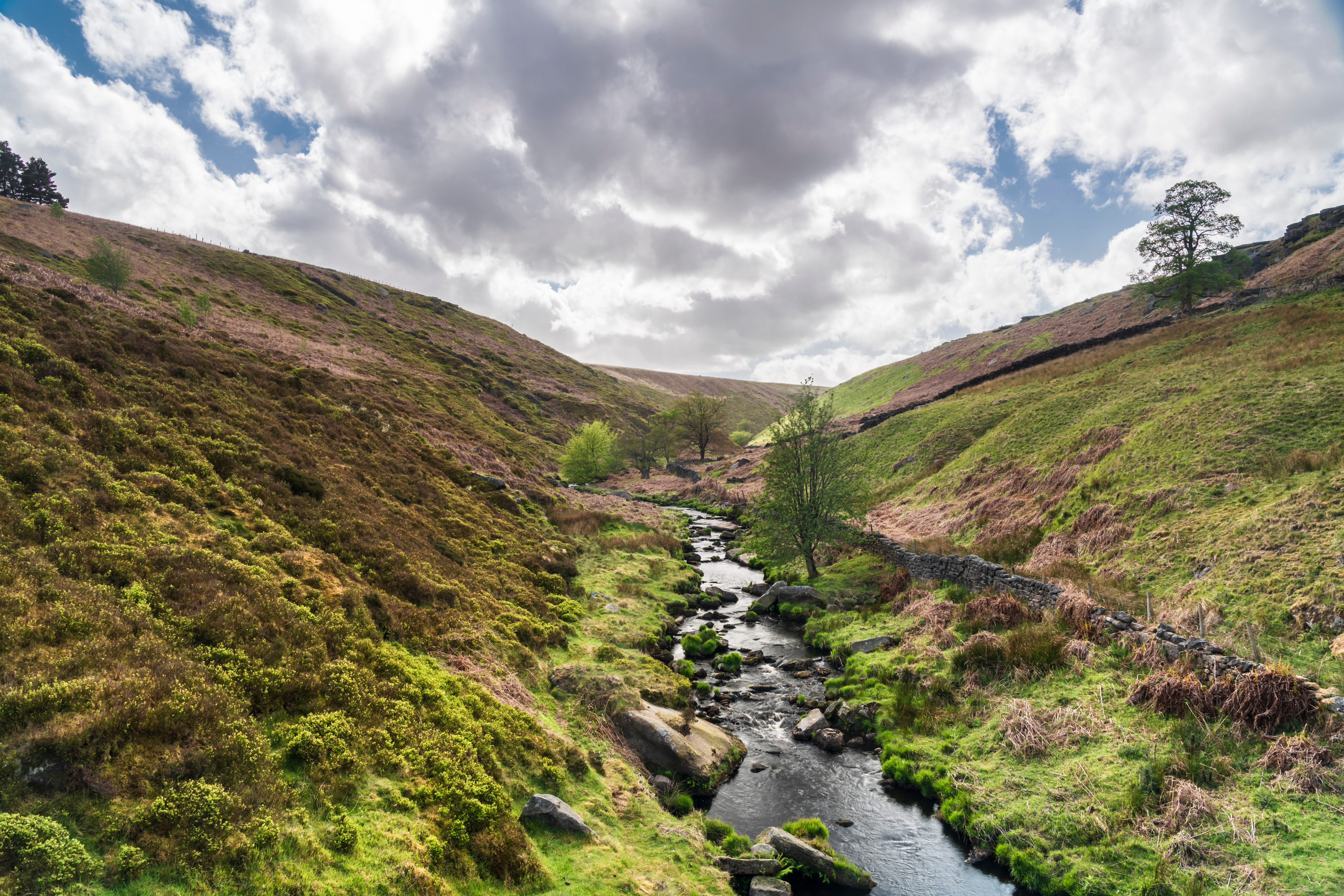 Luddendenfoot Nature