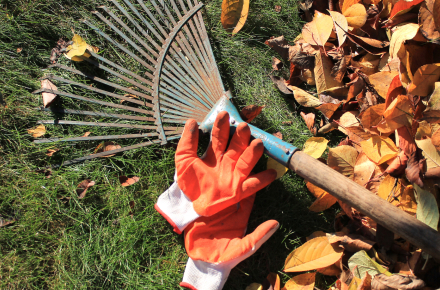 Chartford Homes – Autumn Blog Series Autumn Garden Tips Listing Image Desktop