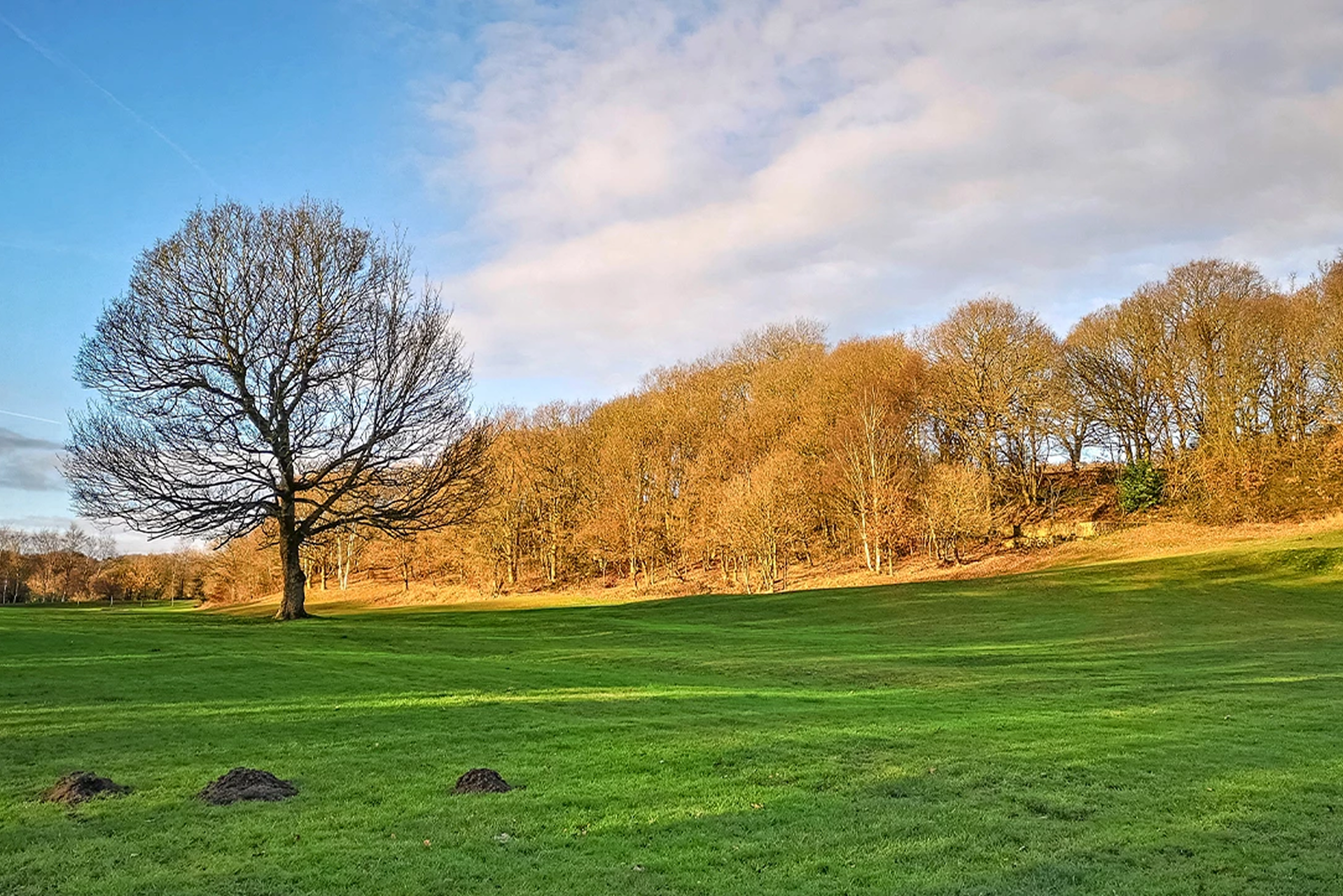 Chartford Horsforth Ext 001 1 (19)